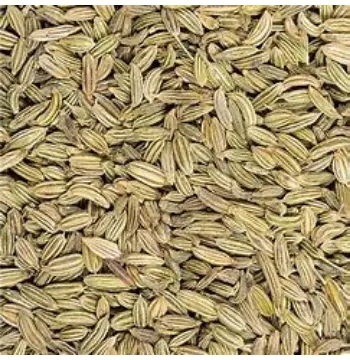 Fresh Organic Fennel Seeds